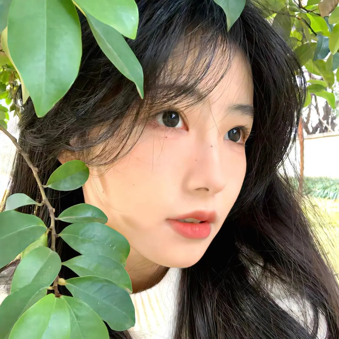 我的会长大人